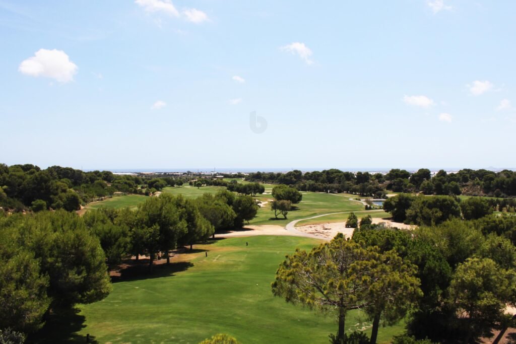 3-bedroom ground-floor apartment in Pinar de Campoverde — 5