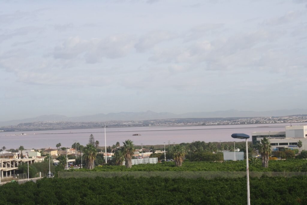 2-bedroom semi-detached villa in Torrevieja — 27