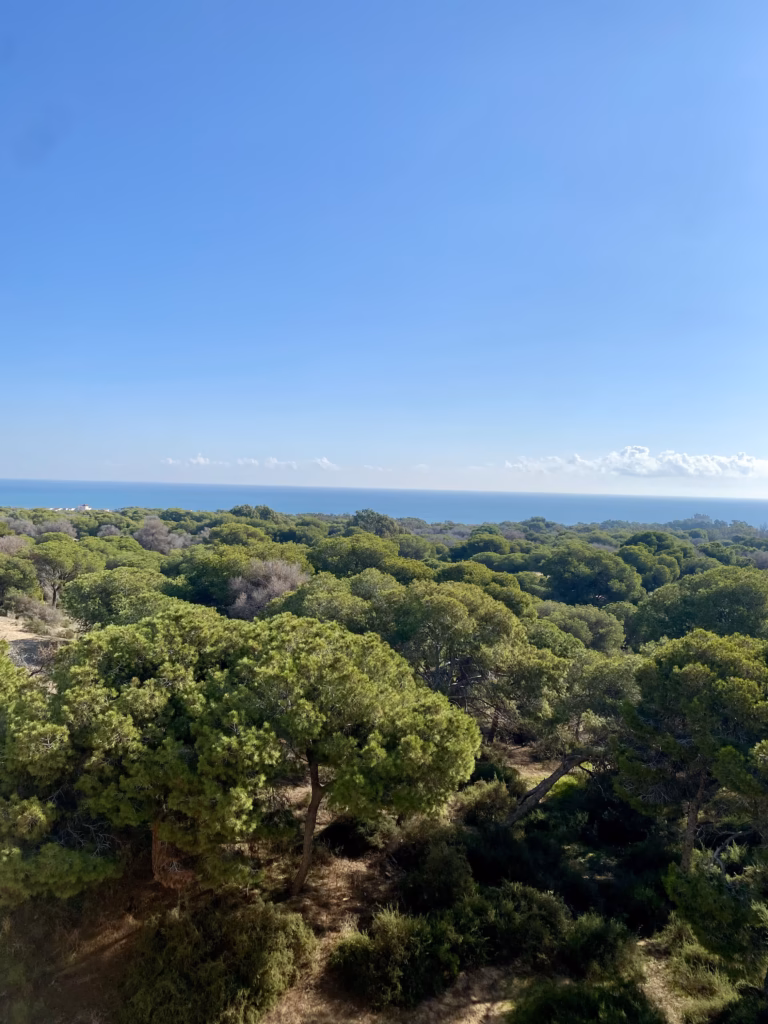 2-bedroom ground-floor apartment in Guardamar del Segura — 28